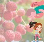 লিচুর বিচি গলায় আটকে শিশুমৃত্যু: গ্রীষ্মে বাড়ছে ঝুঁকি, কী করণীয়?