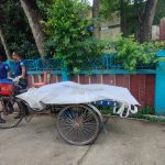 ঝিনাইদহ-কুষ্টিয়া মহাসড়কে কানা পুকুরিয়ায় গৃহবধূর মরদেহ উদ্ধার, পরিবারের দাবি পরিকল্পিত হত্যা
